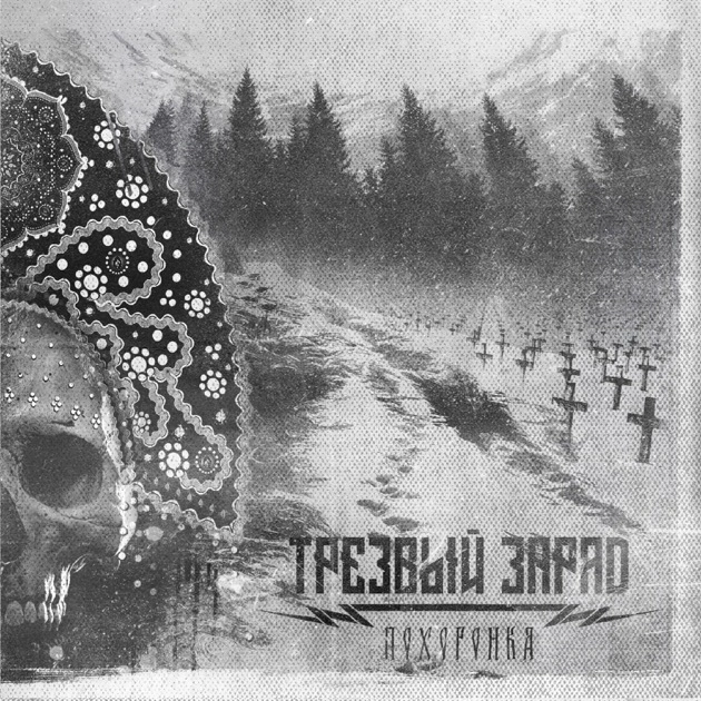 Основателя группы «Трезвый Заряд», певшей о «могилизации», оштрафовали за размещение песен на Apple Music