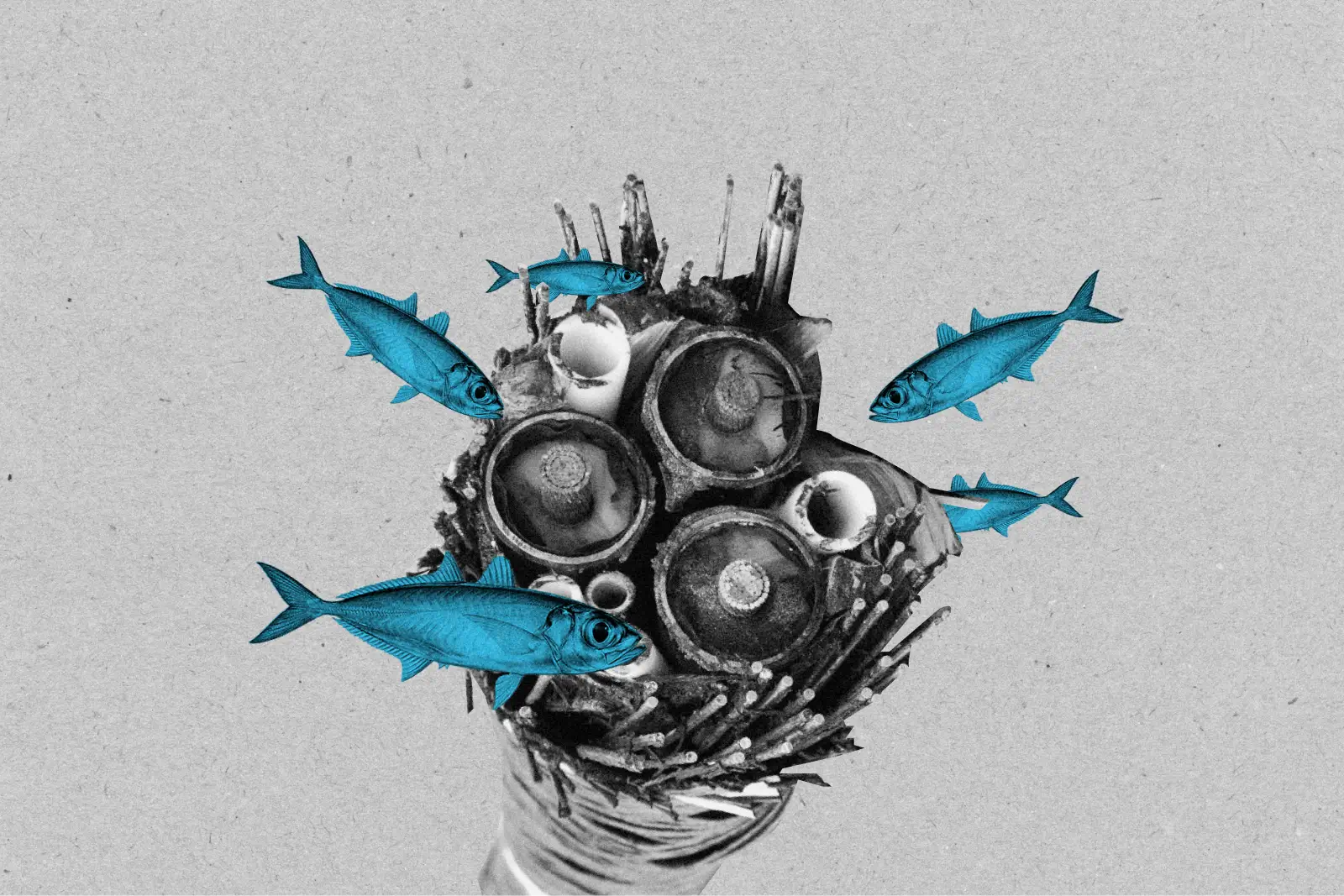 Камчатка может остаться без интернета: из-за выборов власти поставили регион на грань информационного коллапса