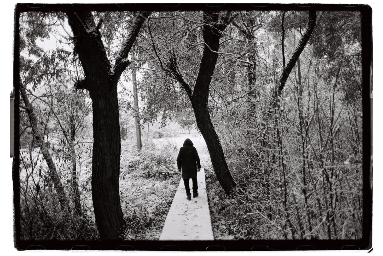 Фотограф Владимир Аверин в фотопроекте о болезни Альцгеймера у близкого человека рассказывает, с какими трудностями сталкивается человек, ухаживающий за больным