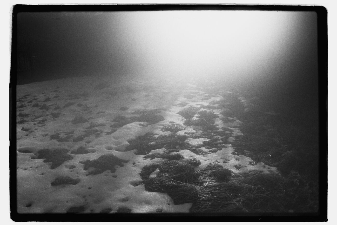 Фотограф Владимир Аверин в фотопроекте о болезни Альцгеймера у близкого человека рассказывает, с какими трудностями сталкивается человек, ухаживающий за больным