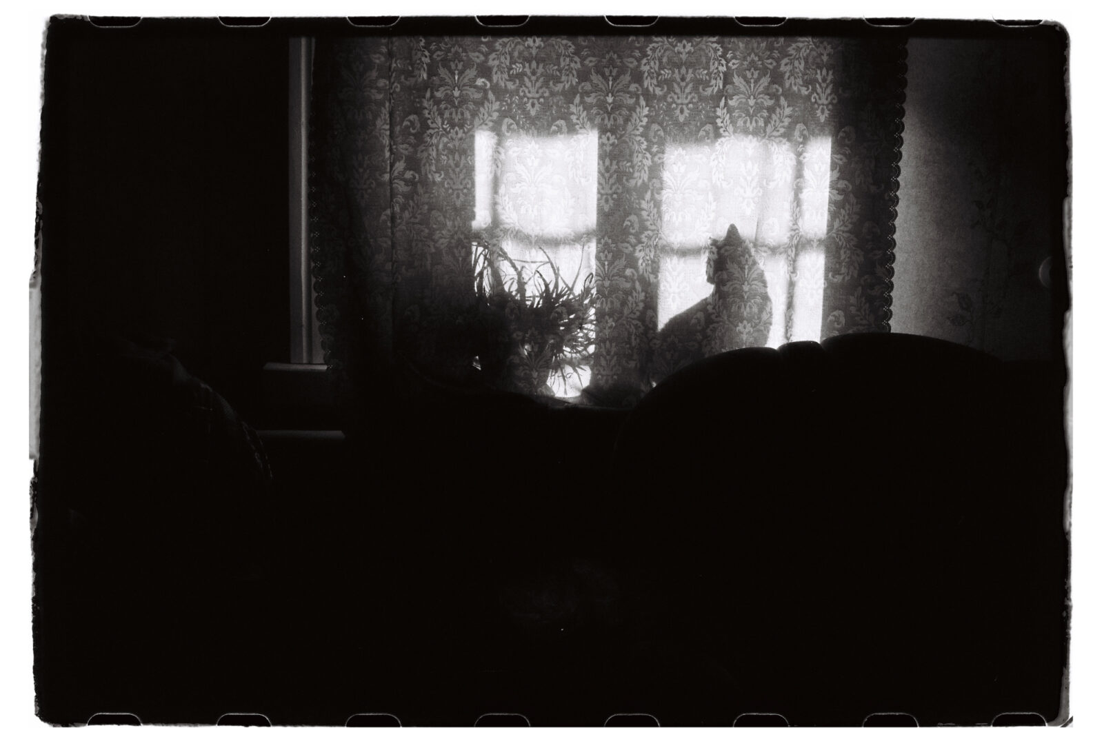 Фотограф Владимир Аверин в фотопроекте о болезни Альцгеймера у близкого человека рассказывает, с какими трудностями сталкивается человек, ухаживающий за больным