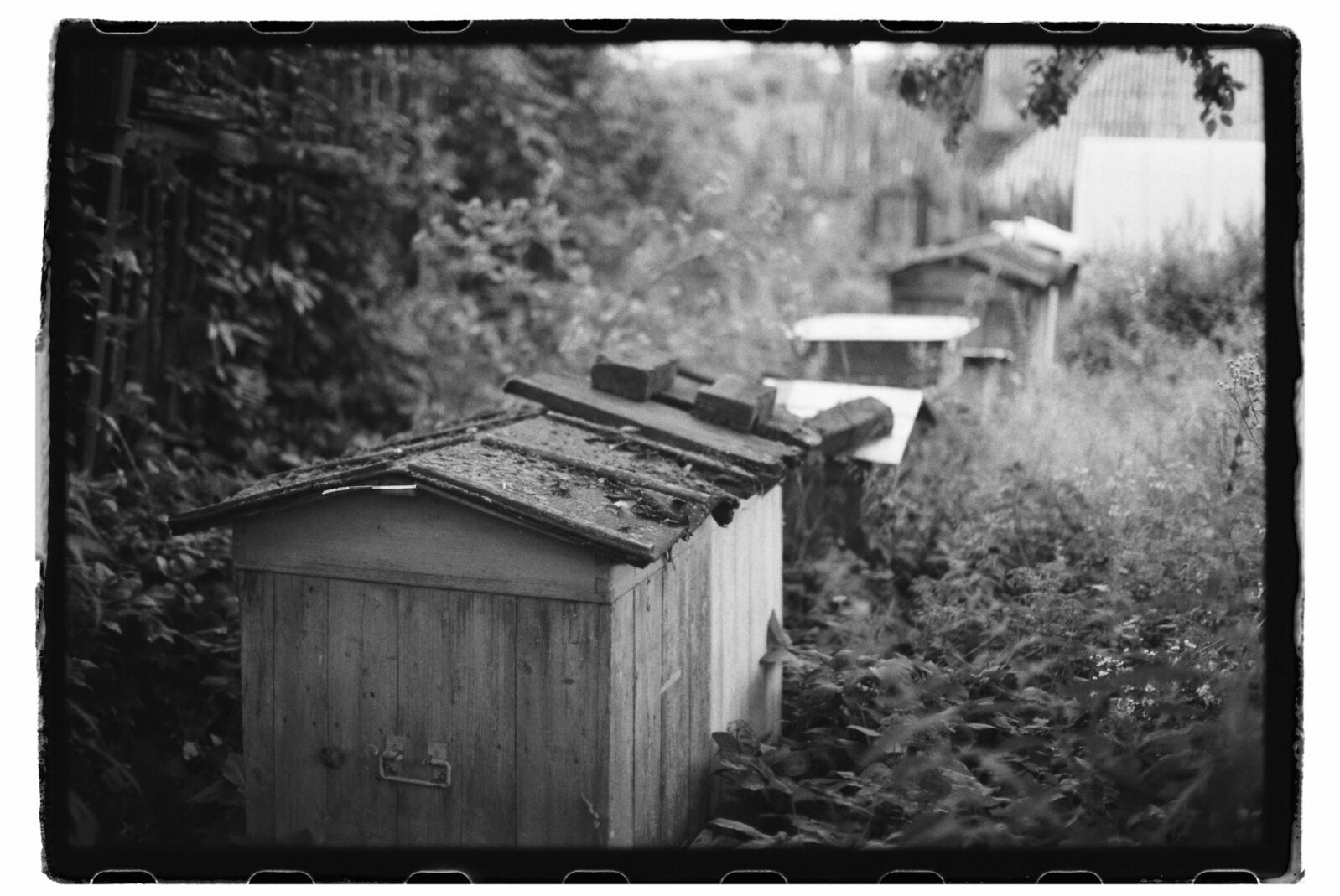 Фотограф Владимир Аверин в фотопроекте о болезни Альцгеймера у близкого человека рассказывает, с какими трудностями сталкивается человек, ухаживающий за больным