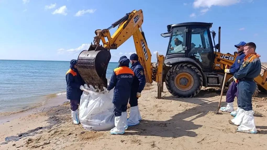 У берегов Анапы нашли более 200 погибших птиц. В Чёрном море зафиксирован новый разлив нефти