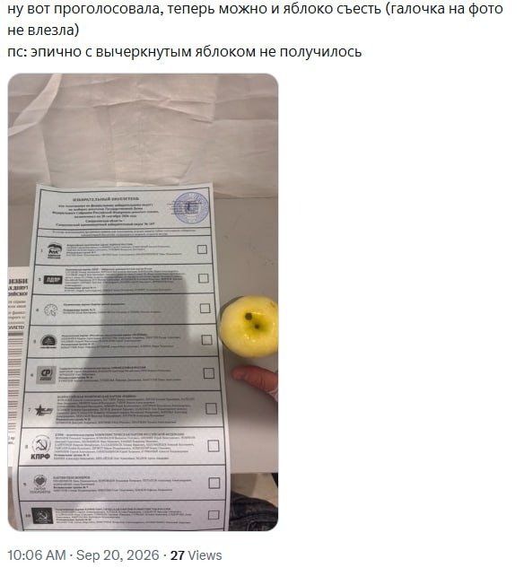 Россияне рассказали, что пришли в Единый день голосования на избирательные участки с яблоками